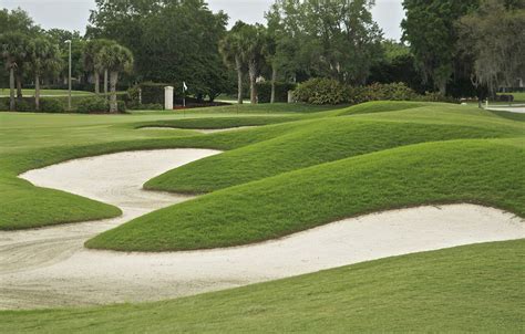 Laurel Oak Country Club, Sarasota, FL - Albrecht Golf Guide