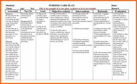 Nursing Teaching Plan Examples Elegant Example Care Plan Template for ...