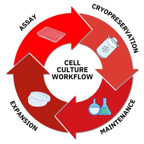 Matrioux - Cell Culture