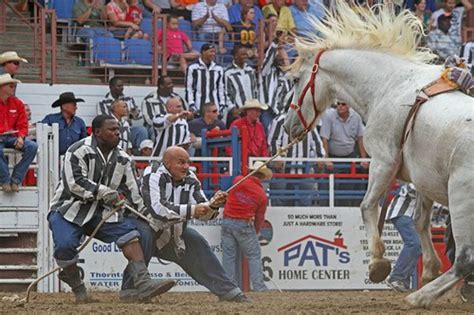 Rodeos in Angola Prison: Dangerous Relief From Boredom - Soapboxie