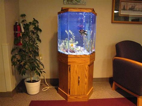 30 Gallon Hexagon Aquarium Hood | Hexagon fish tank, Fish tank stand, Aquarium design