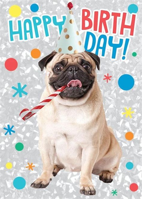 Birthday Pug Foil Card – Paper House Productions