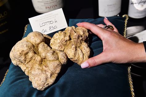 White Truffles