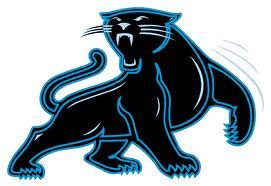 History of All Logos: All Carolina Panthers Logos