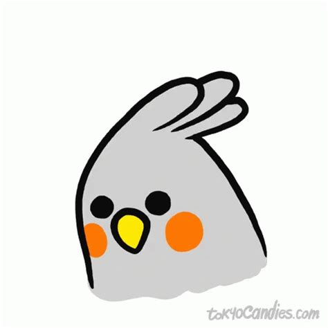 Happy Bird GIFs | Tenor