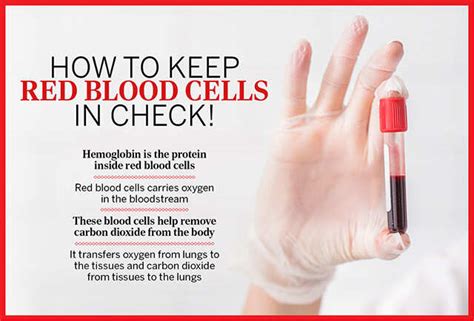 Balancing Red Blood Cells In Your Body | Femina.in