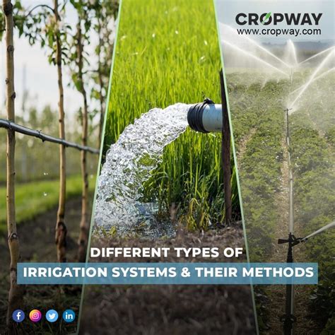 4 Types Of Irrigation