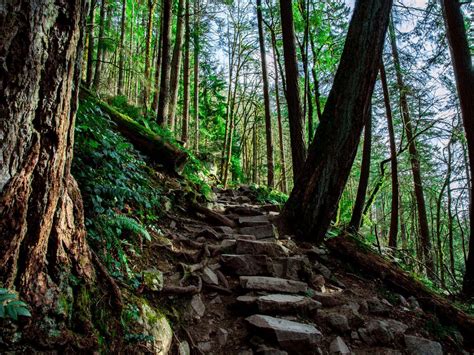 12 essential Seattle-area hiking trails | Washington travel, Beautiful ...