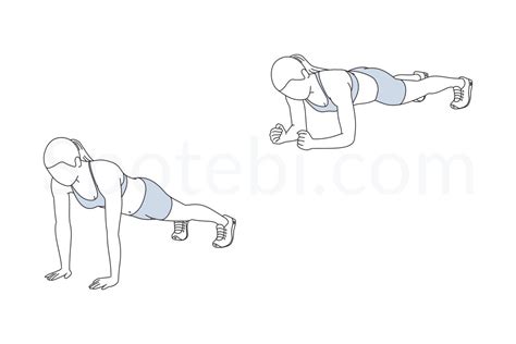 Up Down Plank | Illustrated Exercise Guide