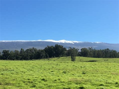 Hawaii Snow Sets Record, Falling at 6,200 Feet | Maui Maui