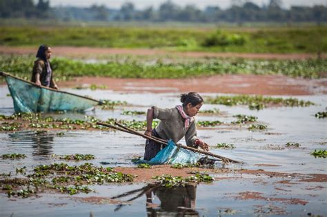 Sustainability of Brahmaputra basin needs transboundary cooperation