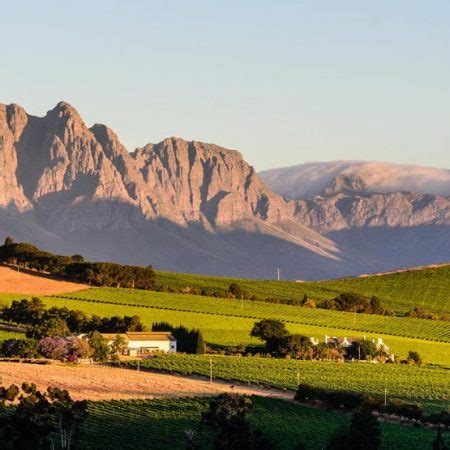 Full Day Cape Winelands Tour (Code: SCCW) | Southern Circle Tours & Safaris