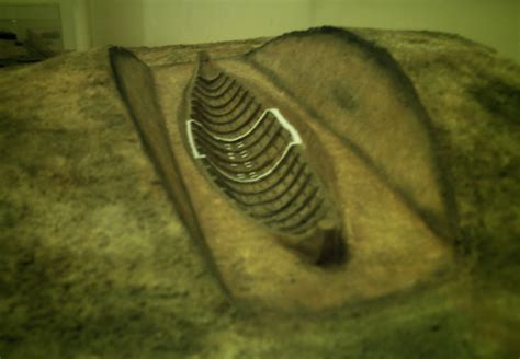 File:Sutton Hoo ship-burial model.jpg - Wikimedia Commons
