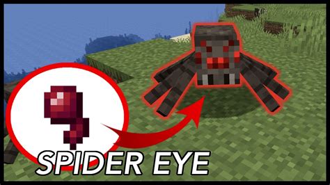 How To Use Spider Eye In Minecraft - YouTube