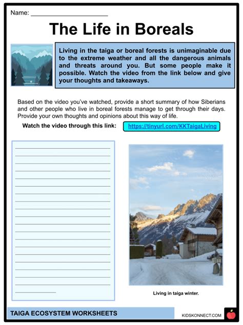 Taiga Ecosystem Facts & Worksheets | Geography, Characteristics