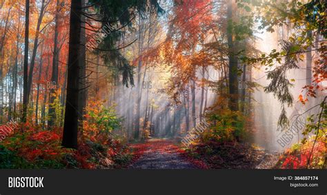 Magical Autumn Scenery Image & Photo (Free Trial) | Bigstock