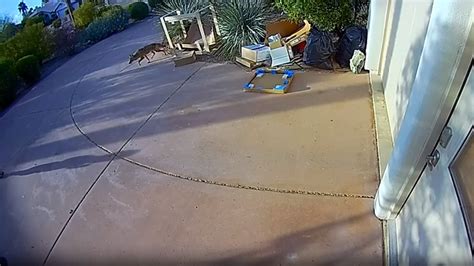 Coyote injures 2 toddlers in separate attacks in Scottsdale: Officials - ABC News