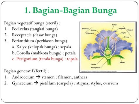 4. Morfologi Bunga