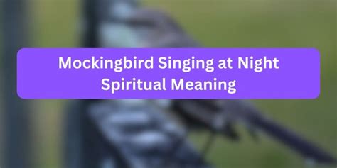 Mockingbird Singing at Night Spiritual Meaning