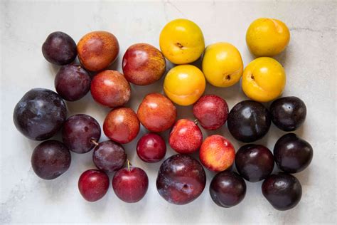 Your Guide to Plums: Varieties, Season, and How to Pick the Best One