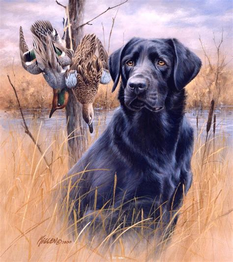 Pix For > Black Lab Duck Hunting Painting | Dog paintings, Hunting painting, Hunting art