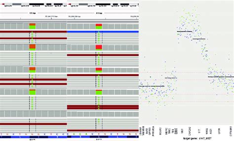 Tumor DNA sequencing at diagnosis and after progression. Sequencing... | Download Scientific Diagram