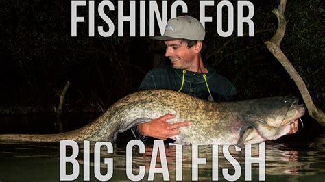 Fishing for big Catfish - YouTube