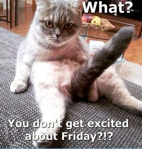 Almost Friday Meme & Funny Memes Images Collection - Picsmine