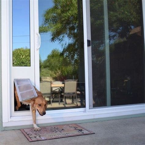 Is It Possible to Install Dog Door For Glass Sliding Door