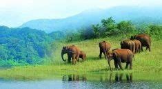 Kerala Wildlife Tour, Wildlife Tour Packages, Luxury Wildlife Tours, वन्यजीव पर्यटन in Nangal ...