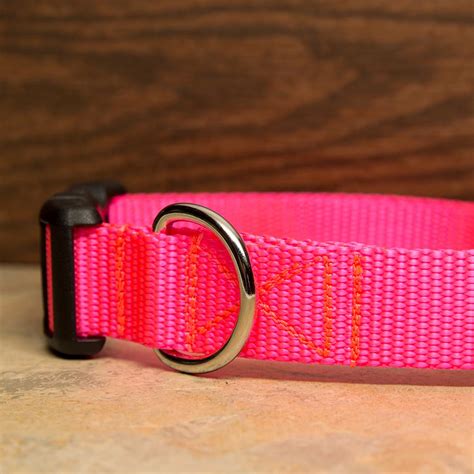 Hot Pink Dog Collar | Neon Pink Dog Collar | Aw Paws