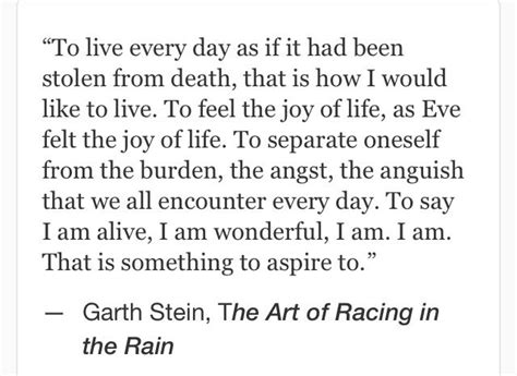 Racing In The Rain Quotes. QuotesGram