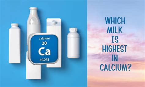 Which Milk Is Highest in Calcium? - The Coconut Mama