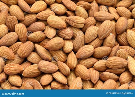 Raw almonds stock photo. Image of kernel, ingredient - 60597056