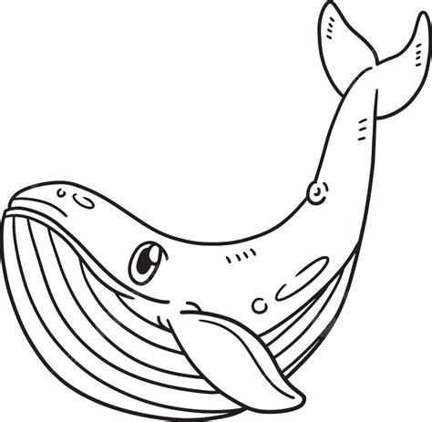 Blue Whale Isolated Coloring Page For Kids Kids Education Underwater Vector, Cat Drawing, Whale ...