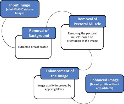 Steps carried out in preprocessing of mammography. | Download ...