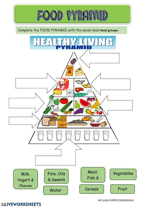 Food Pyramid Worksheet For Grade 4