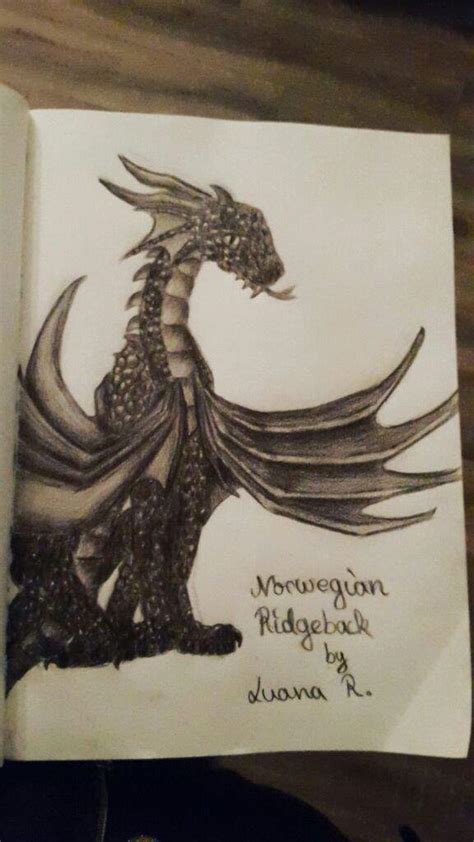 🐉Norwegian Ridgeback Drawing 🐉 | Harry Potter Amino