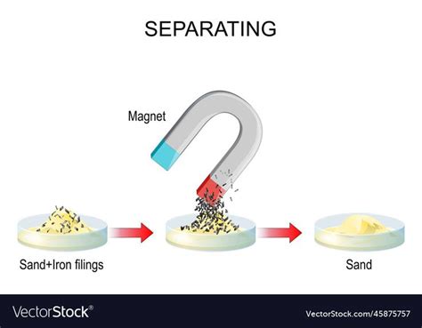 Separating experiment with sand iron filings vector image on VectorStock in 2024 | Biology ...