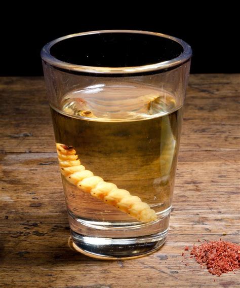 The Real Story Behind The Tequila Worm | Worm in tequila, Tequila, You and tequila