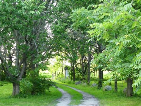 Oak Valley Pioneer Park - Ontario’s Conservation Areas