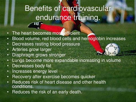 Incredible Five Benefits Of Cardiorespiratory Endurance Exercise Ideas | Cardio Workout Routine