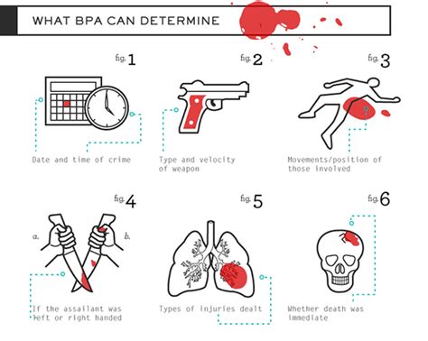 Blood Spatter - Biotech Engineering