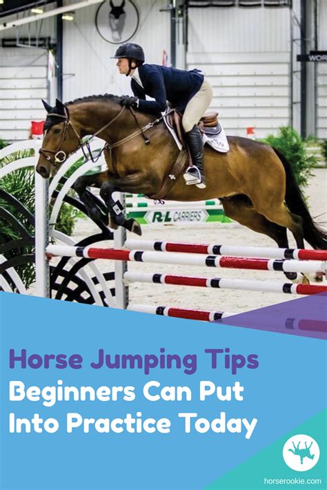 Horse Jumping Tips Beginners Can Put Into Practice Today - Horse Rookie | Horse jumping, Horses ...