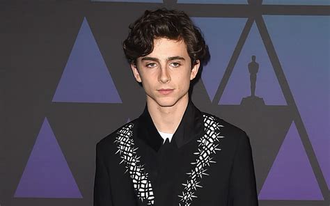 Timothée Chalamet Will Star In Wes Anderson's New Film