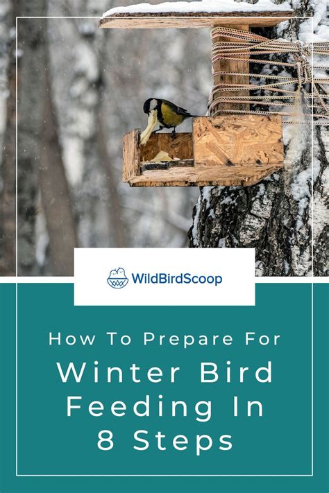 Winter is approaching and I'm sure you are going to want to continue to feed your backyard bird ...