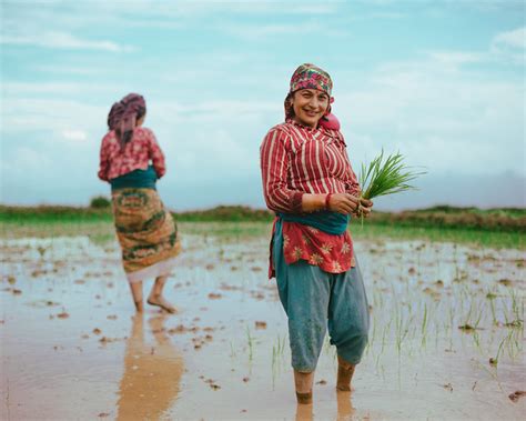 Whispers Of The Countryside: 40 Captivating Photos Of Village Life