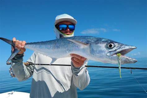 King Mackerel vs. Spanish Mackerel