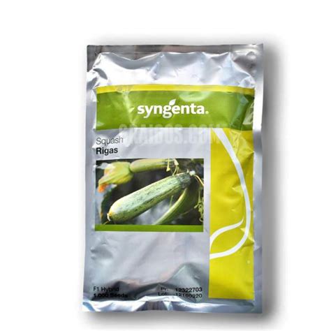 GSS5649 Syngenta Sweet Corn | 5.000 seeds - Γραίγος