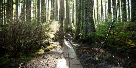 Best Hikes on the Oregon Coast - Outdoor Project